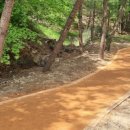 구갈레스피아공원 이미지