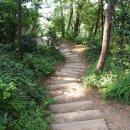 솔향기공원 이미지