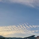 장보고회수산센타 덕천점 이미지