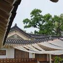 7호선 어린이대공원역(상) | 서울 야외 웨딩 공간한옥 근화원 주차 식사 축가 5월 하객 후기