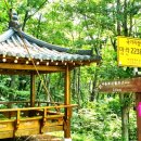 한아름 사슴 농장 이미지