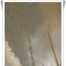 용주서원 이미지