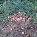 읍내약국 이미지