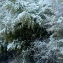 함평향교 이미지