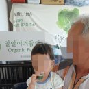 알알이식품