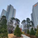 예감좋은부동산공인중개사사무소 이미지