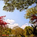 신구대학교 이미지