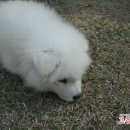 산아래민박 이미지