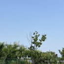 은진카센타 이미지