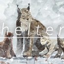 스라소니그래픽 이미지