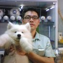 강아지사랑 이미지