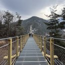 출렁다리(2) 이미지