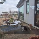 강화도마리스튜디오 | 1박 2일 강화도 여행- 플로피스튜디오, 강경불고기, 아웃포스트카페, 마리펜션, 동막해수욕장, 배터지는...