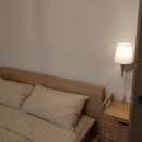 심지방코지 이미지