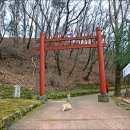 연천 숭의전 제례 이미지