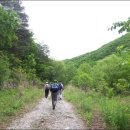 석탄(중석) 이미지