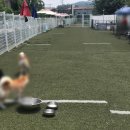 자랑하개 이미지