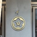 골드헤어라인 네이버블로그