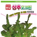 오크린 이미지