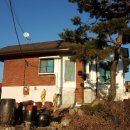 세종로113번길 이미지