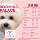 삼성애견 이미지