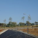 월성박씨종중묘역 이미지