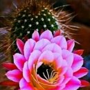 행복한하루 이미지