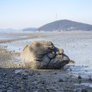서산해산물