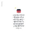 성경그릇 이미지