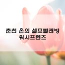 워시프랜즈춘천