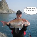 상사리(상) 이미지