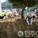 지슬1리 이미지