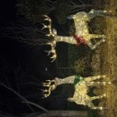 나들이펜션A 이미지