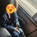 중동040 | [3박4일 하코다테] Day 1. 일본 소도시 빡센 세관검사&amp;일본 3대 야경