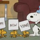 (Dream of JUDO)영동유도관 이미지