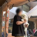 온앤올 | 영종도 애견 동반 카페 온앤오프｜내돈내산 후기, 강아지랑 가기 좋은 감성카페 추천