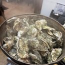 경아회수산 | 배방횟집 서비스가 가득한 대천회수산 석화찜 후기