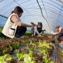 세빈농장 이미지