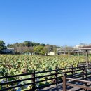 완사소문난옛날피순대1호점