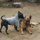 알프하우스 이미지