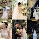 붓으로하는캘리그라피A반 | 비밀의화원 아이폰스냅 추천 (계약완!) +짝궁코드