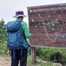 남해편백마을