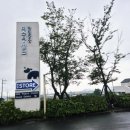 한림성 | [2025년 8월 제주 5박 6일] 미스터밀크 한림공장 방문후기