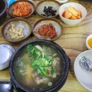 제주버들못