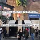 엔터스팟 | 로마 시내투어 추천 엔터로마 오전 vs 오후 비교해봤어요