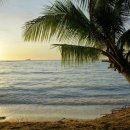 그리코리아(주) 이미지