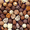 마음편한 동물메디컬센터 이미지