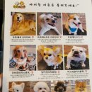 포포앤미루 강동점 이미지