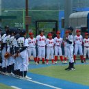 M&J 스포츠 이미지