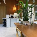 (주)나리안 | 연예인강아지 분양 달려가는 이유!